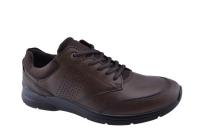 ECCO_Ecco_Irving_Bruin_51173455738__1