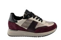 GABOR_Gabor_21_691_4_Bordeaux_76_445_95__3
