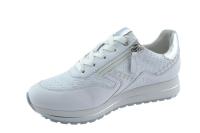 GABOR_Gabor_21_766_6_Wit_86_336_50__1