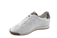 _Gabor_21_759_6_Wit_83_432_20__1